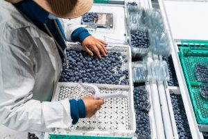 The IGD Economic Viewpoint Report - How to respond to rising labour costs in 2025 - encourages the adoption of new technology.