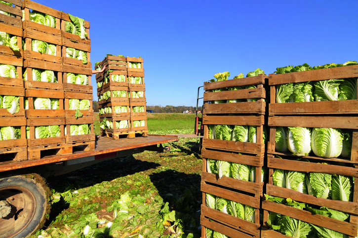 Food logistics should benefit from UK-EU deal