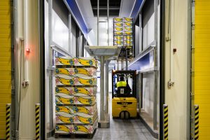 The banana distributor revamped its MHE fleet for a challenging ripening operation with the help of Yale Lift Truck Technologies.