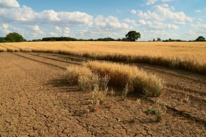 UK logistics networks could be operating with too little headroom to withstand mounting pressure on the food system, research from global supply chain and logistics consultancy, SCALA, warns.
