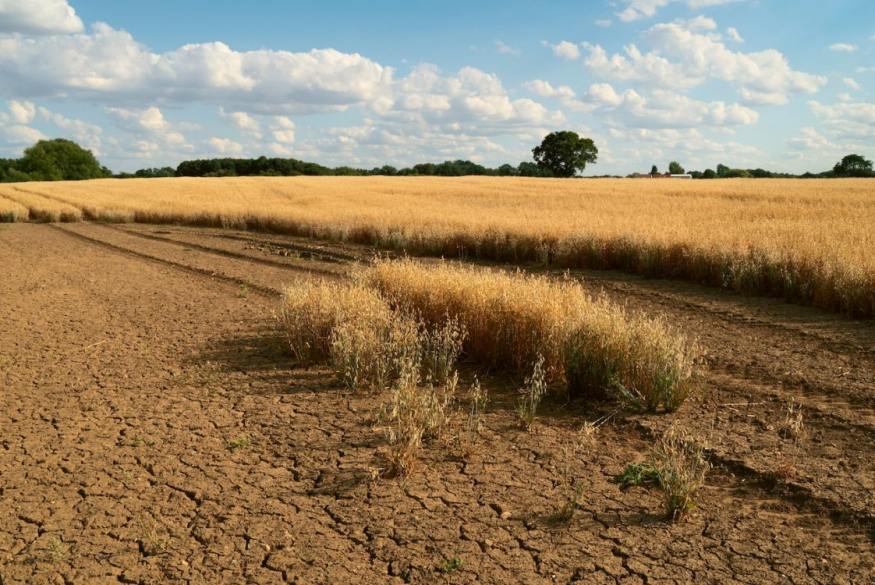 Lean logistics networks risk weakening UK food supply resilience