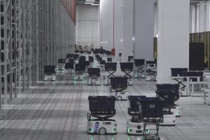 LPP faced increasing pressure to expand fulfillment capacity while maintaining operational efficiency.